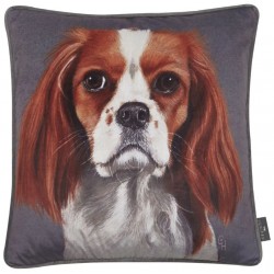 Julie Cushion