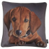 Juniper Noodles Cushion