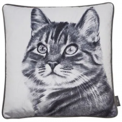 Kitten Cushion