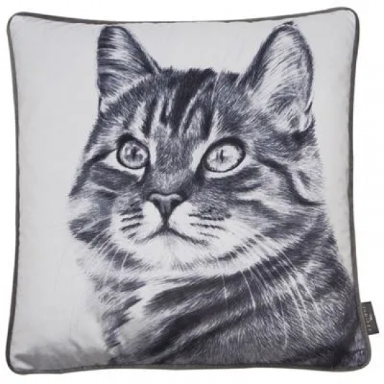 Kitten Cushion