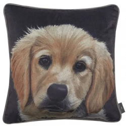 Buttercup Cushion