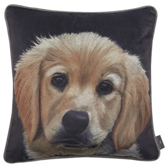 Buttercup Cushion