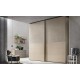 Double sliding door